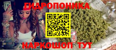 apvp Кунгур