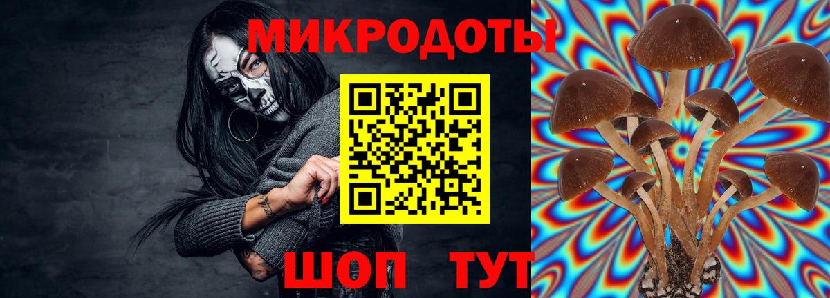 Кизляр  продажа наркотиков  Вход с VPN  Псилоцибиновые грибы Psilocybe 