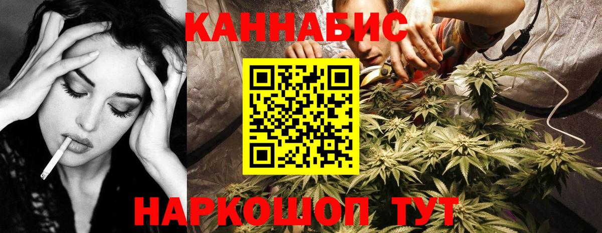 Каннабис OG Kush Кизляр